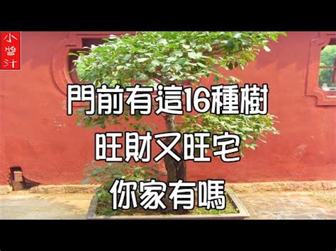 門口左右 邊種樹